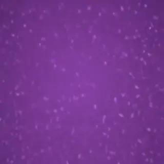 purple screen wallpaper