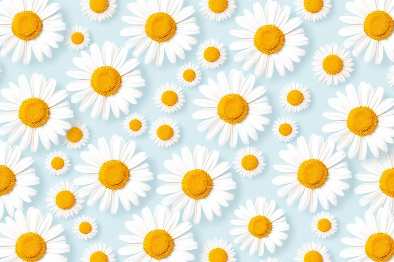 Create a seamless pattern of white daisies with yellow centers on a light blue background.