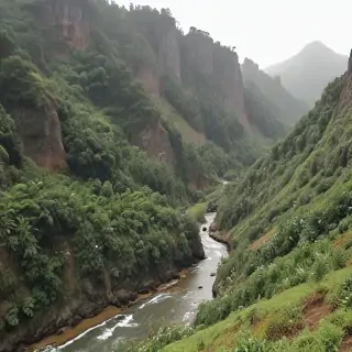 barbado da terceira