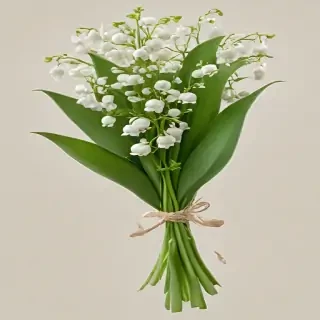 lily of the valley png