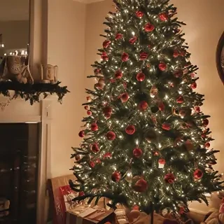 aesthetic christmas pics