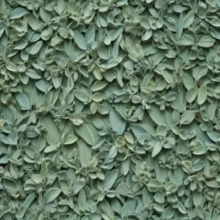 sage green aesthetic