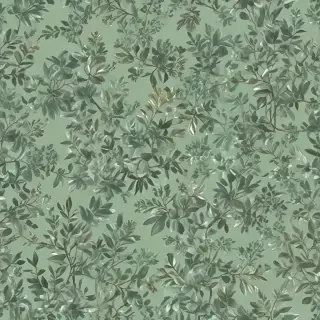 sage green aesthetic background