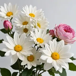 flowers with white background