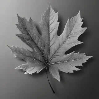 clipart of leaf black and white