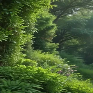 greenery border