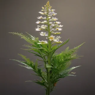 weeds png