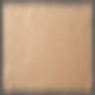 aesthetic ripped paper png
