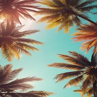 summer iphone backgrounds