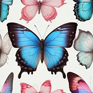 butterfly transparent