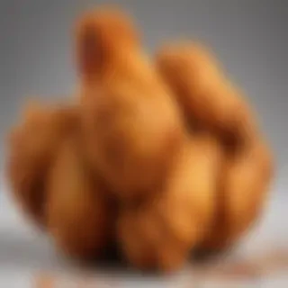 fried chicken png