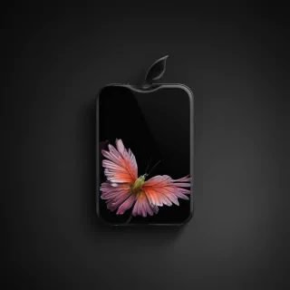 iphone cute black wallpaper