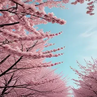 aesthetic spring wallpaper