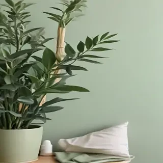 sage green aesthetic