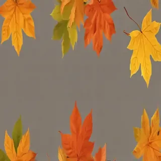 fall leaves png