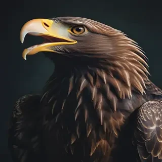 eagle background