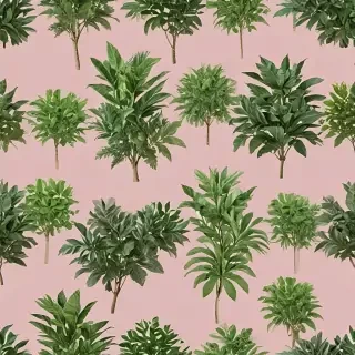 plants no background