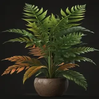 plant png clipart