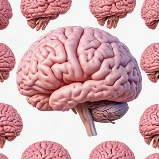 brain transparent background