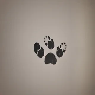 paw print background