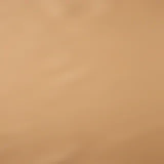 craft paper texture