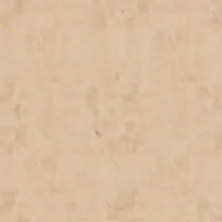 beige plain background