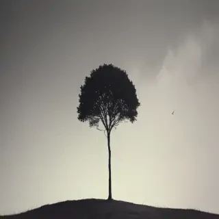 minimal wallpaper iphone
