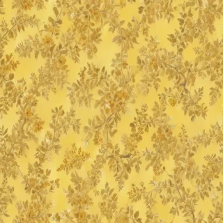 plain yellow bg