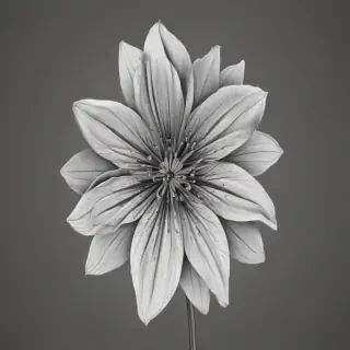 flower outline png