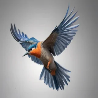 birds flying transparent background