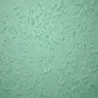 mint green background