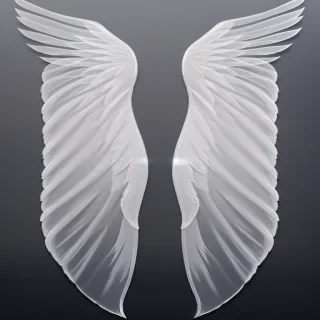 transparent angel wings