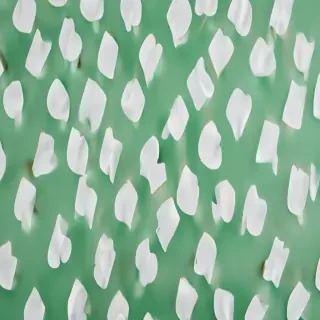 green and white background