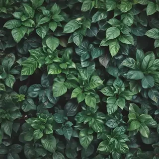 plants background iphone