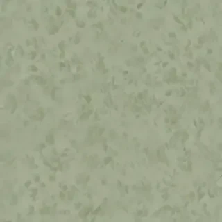 sage green backround
