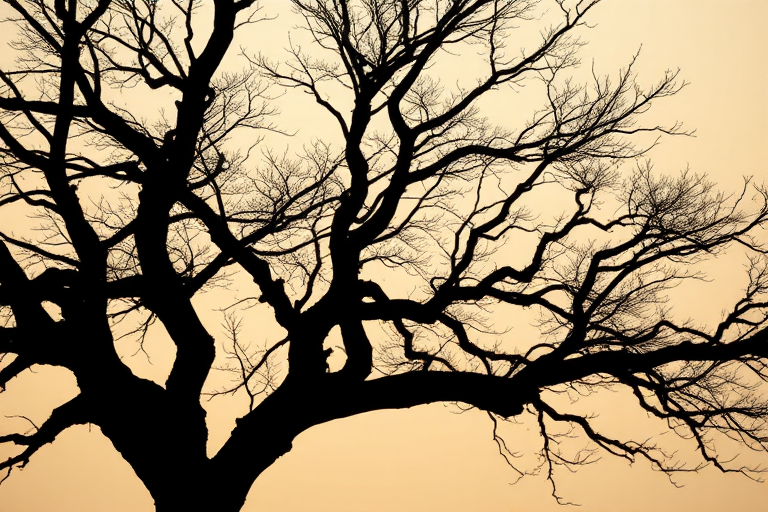 Generate a high-resolution image of a stylized silhouette of a tree with intricate branches against a soft gradient background, using a DSLR camera with a 50mm lens, aperture set at f/1.8, ISO 100, shot from a slightly elevated angle, in natural light for enhanced texture and detail.