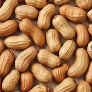 peanut png