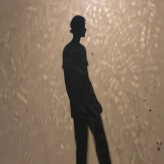 shadow transparent