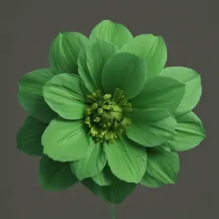 green flower png