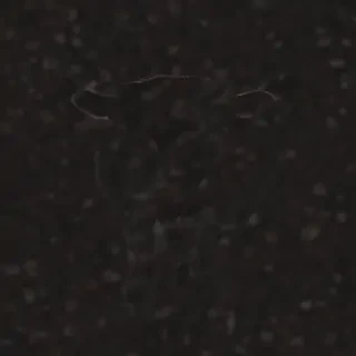 cow silhouette