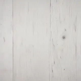 texture white wood