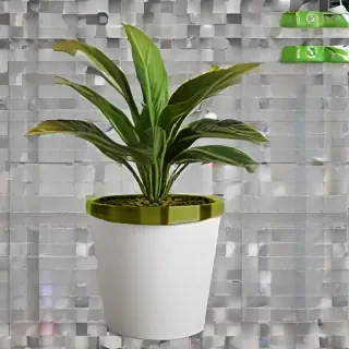 indoor plant png