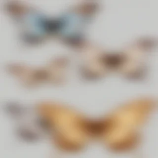 free butterfly clipart
