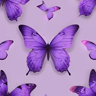 aesthetic purple butterfly