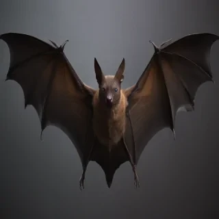 bat images for halloween