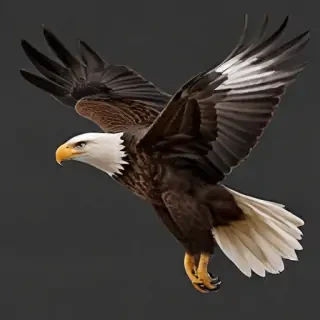 eagle flying png