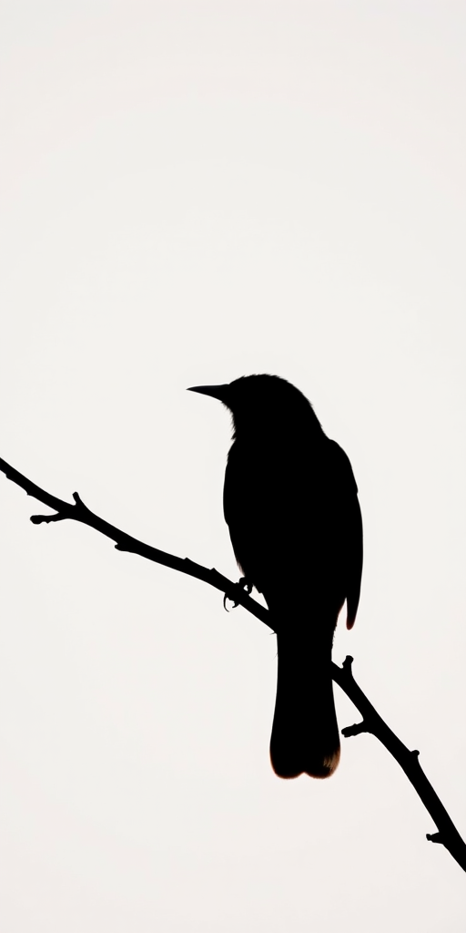 A close-up shot of a black silhouette of a bird perched on a branch against a light background, captured with a DSLR camera, aperture f/2.8, ISO 100, 50mm lens, natural light, shallow depth of field.
