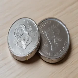 google flip a coin