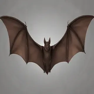 bat wings png