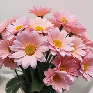 cute aesthetic flower wallpapers